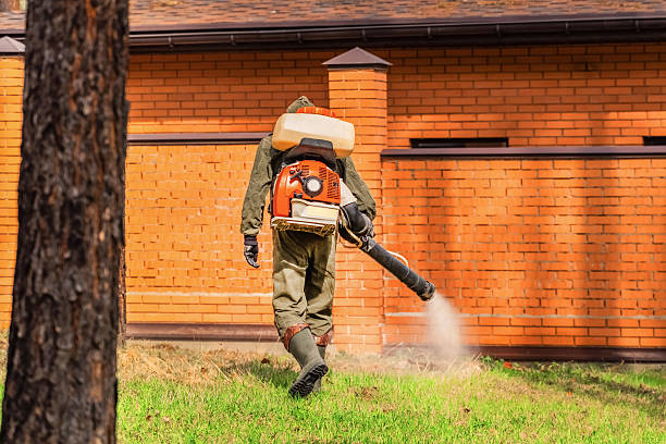 Trusted Ant Control service in Crugers, NY - Nex Pest Control